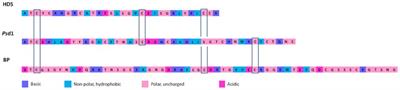 Defensins: antifungal lessons from eukaryotes